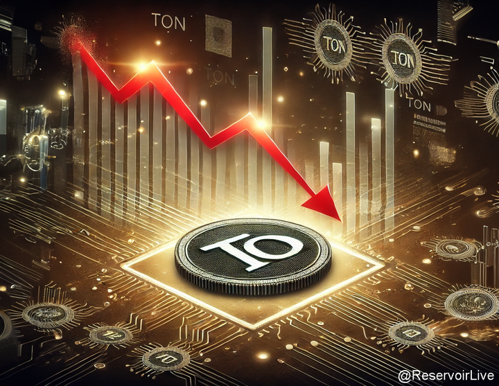 Les plus grands jetons TON ont chuté de 50 % : Voici les raisons possibles